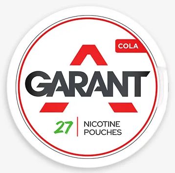 Best Nicotine pouches 2025 