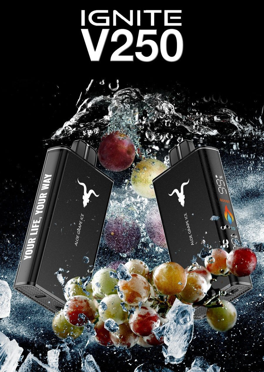 IGNITE - V250 Rechargeable Disposable Vape (25,000 Puffs) vape sharjah duty free
