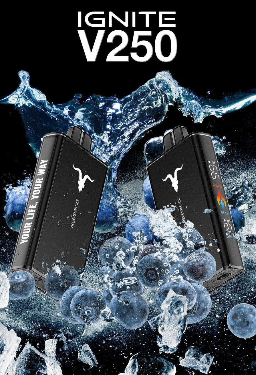 IGNITE - V250 Rechargeable Disposable Vape (25,000 Puffs) vape duty free dubai