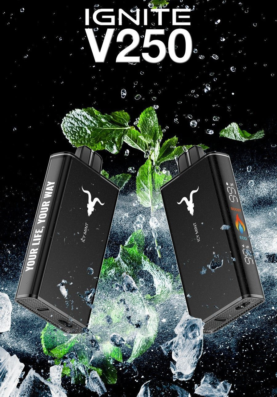 IGNITE - V250 Rechargeable Disposable Vape (25,000 Puffs) vape delivery same day dubai
