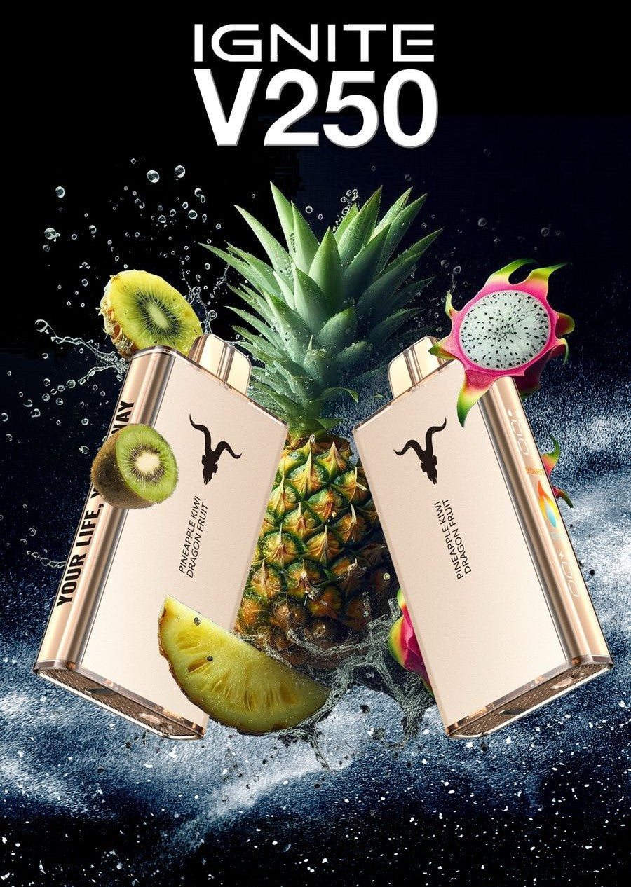 IGNITE - V250 Rechargeable Disposable Vape (25,000 Puffs) vape order online fujairah