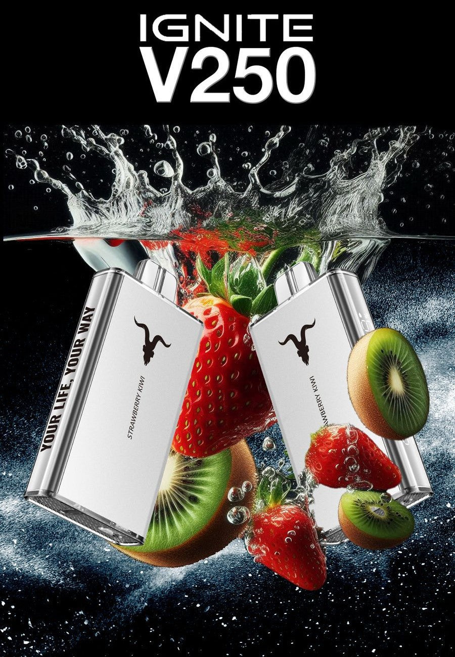 IGNITE - V250 Rechargeable Disposable Vape (25,000 Puffs) vape online sharjah