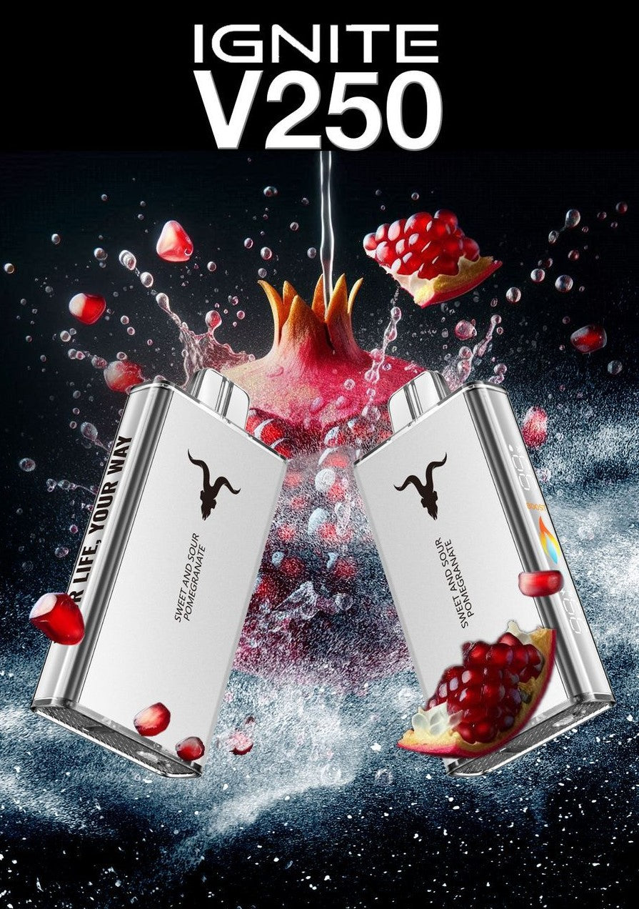 IGNITE - V250 Rechargeable Disposable Vape (25,000 Puffs) vape online offer ruwais