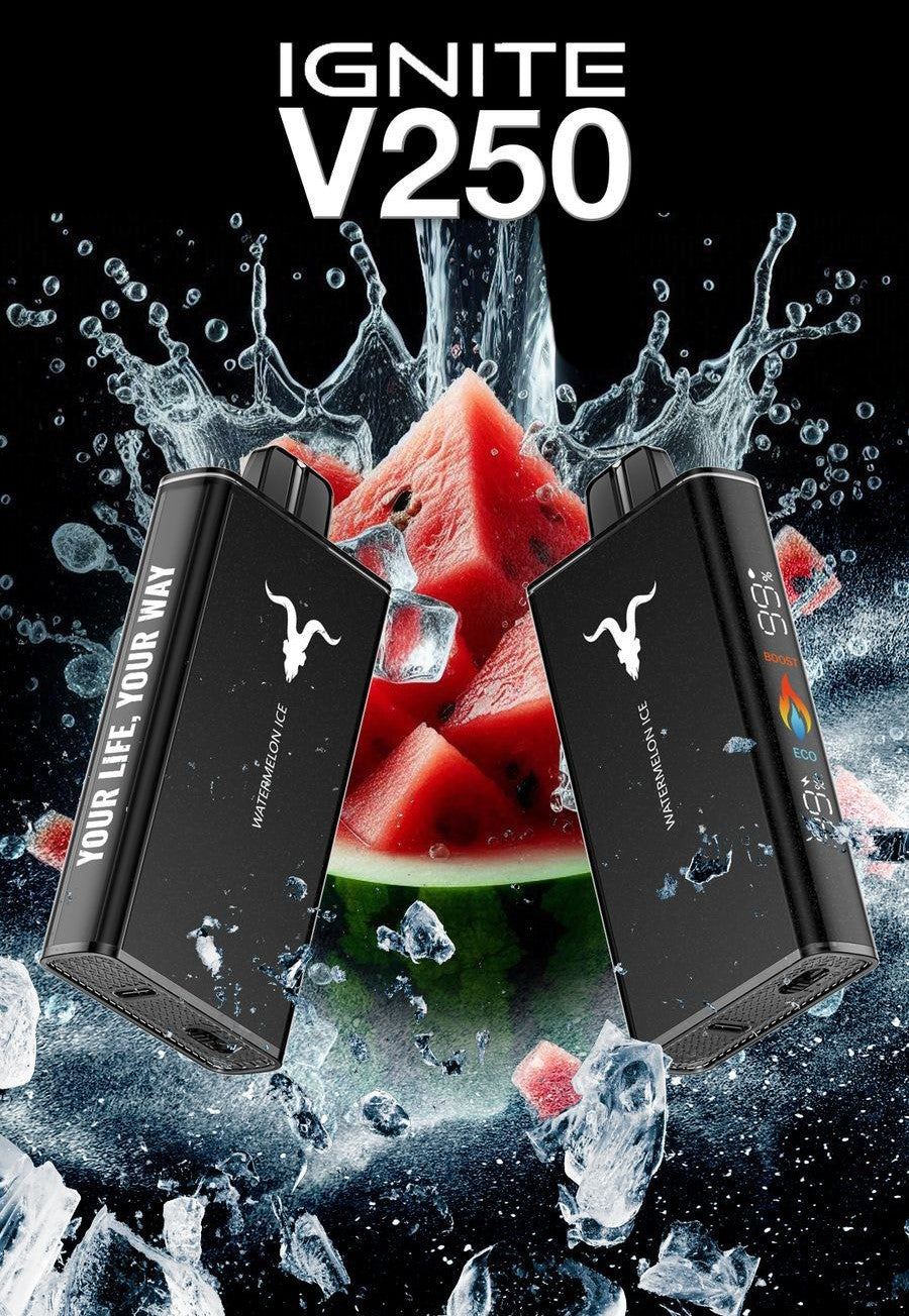 IGNITE - V250 Rechargeable Disposable Vape (25,000 Puffs) vape fast delivery abu dhabi 2025