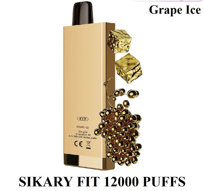 Sikary Fit Rechargeable Disposable Vape (12,000 Puffs) Vape Offer Sharjah
