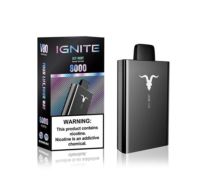 IGNITE - V80 Rechargeable Disposable Vape (8000 Puffs) vape online ajman