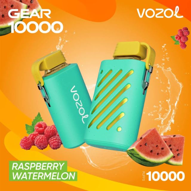 Vozol Gear Rechargeable Disposable Vape (10,000 Puffs) vape offer sharjah