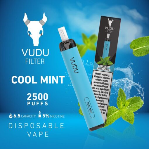 VUDU FILTER DISPOSABLE 2500 PUFFS (50MG) ABUDHABI DUBAI KSA