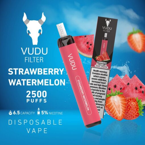 VUDU FILTER DISPOSABLE 2500 PUFFS (50MG) ABUDHABI DUBAI KSA